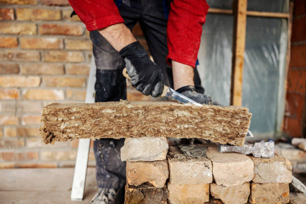 Best Insulation Replacement Services  in Mount Jackson, VA